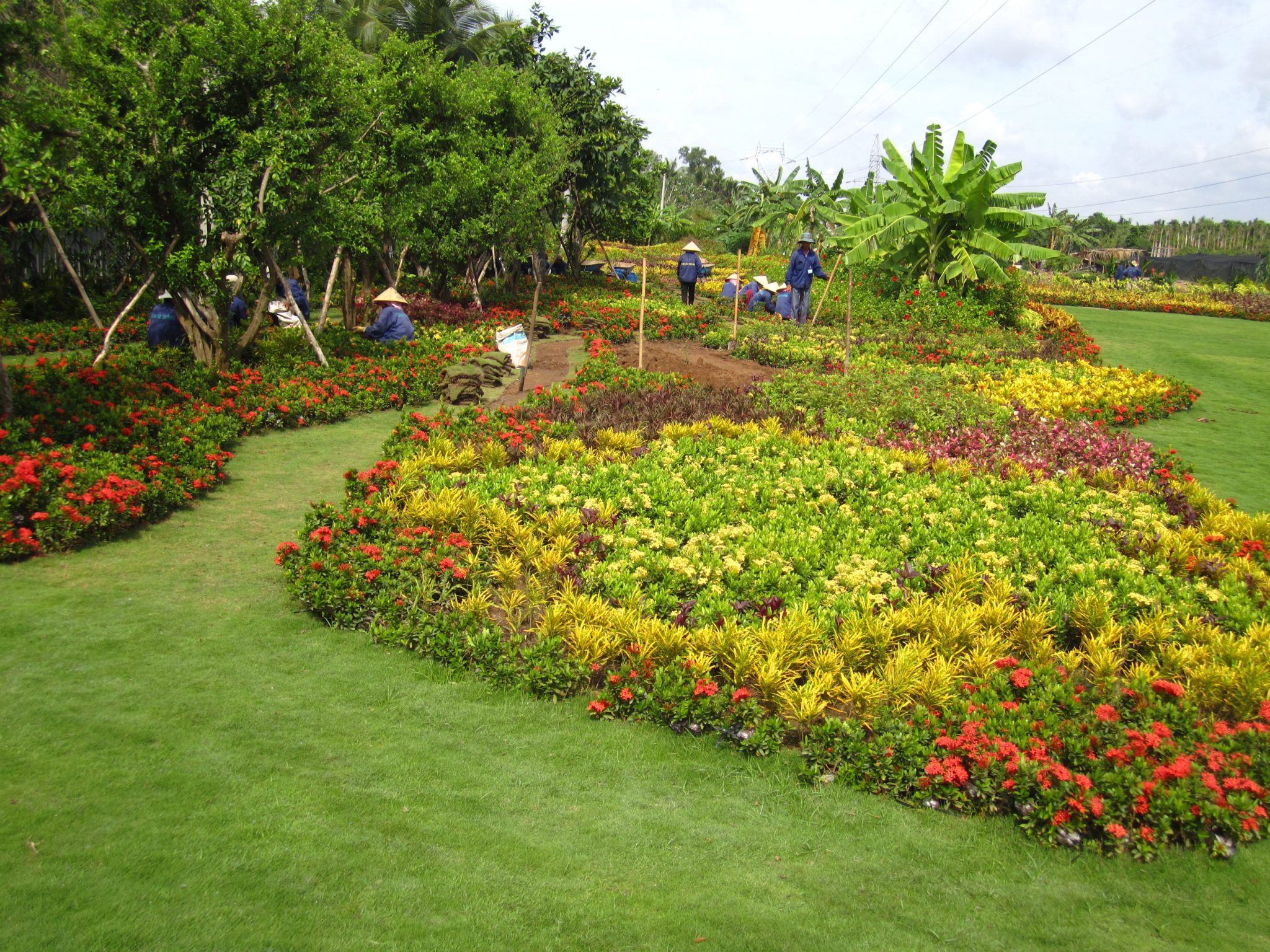 Thi công tiểu cảnh