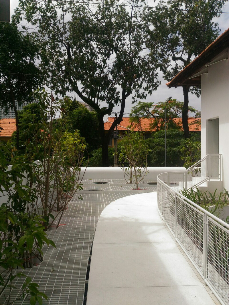 thi công cảnh quan nhà phố
