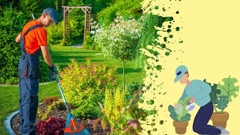 LASC︱Dịch vụ vệ sinh sân vườn chuyên nghiệp.