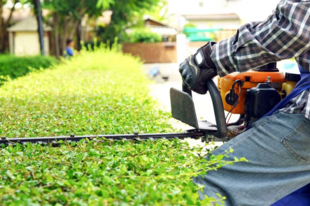 Bảng báo giá dịch vụ cắt cỏ sân vườn tại LASC
