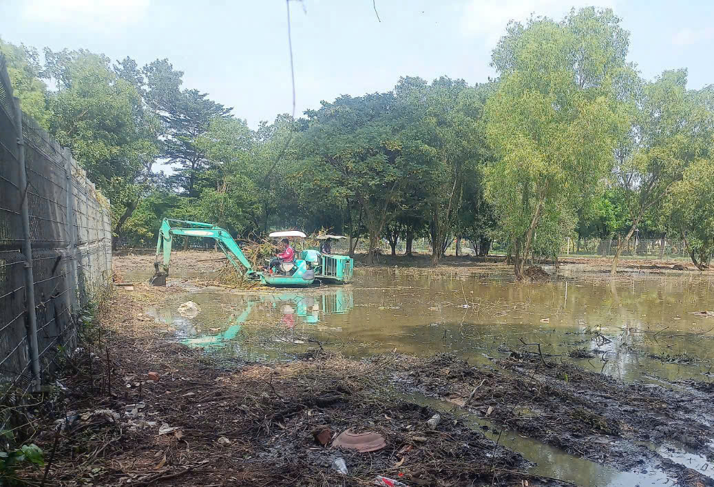 Thi công dự án công viên quận 7