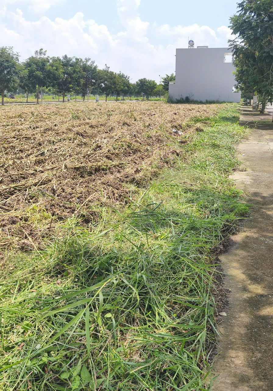 Thi công dự án khu dân cư Tân An