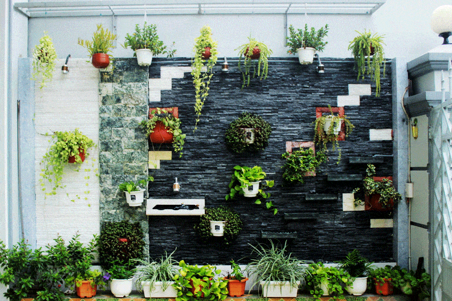 9 Ý Tưởng tự làm Vườn Treo để trang trí nội thất căn hộ nhà bạn  Vườn Rau  Phố