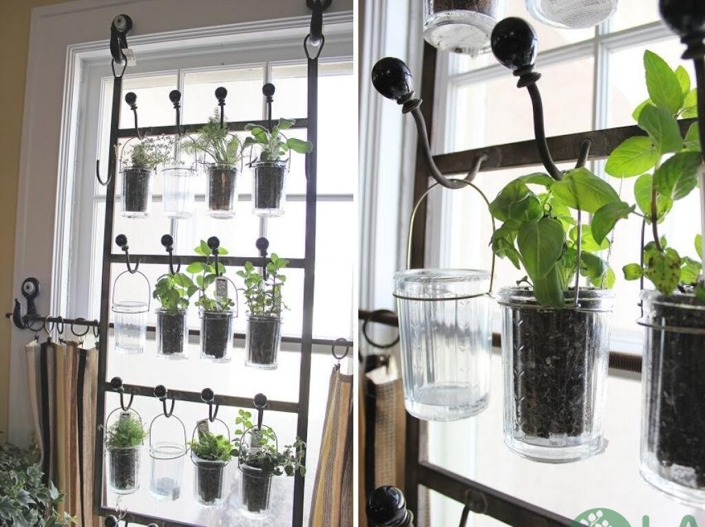 cách làm chậu trồng cây từ chai nhựa