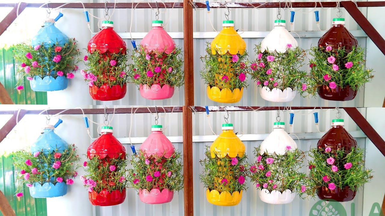 cách làm chậu trồng cây từ chai nhựa