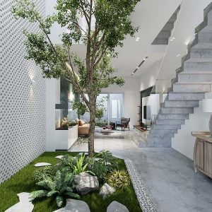 Thiết kế cây xanh trong nhà