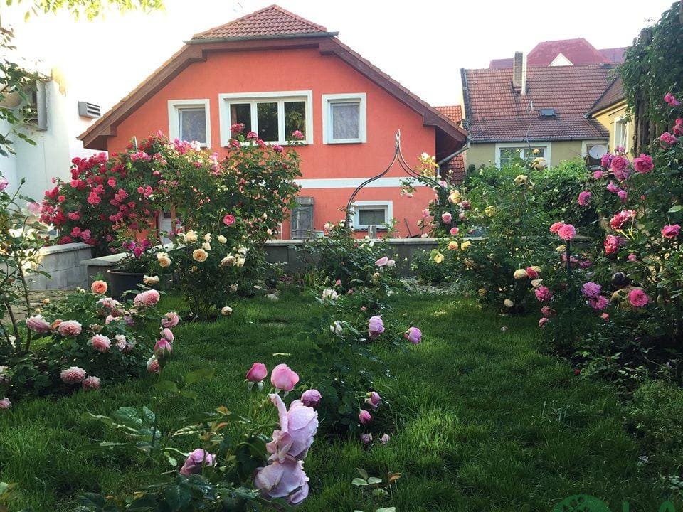 thiết kế bồn hoa trước nhà