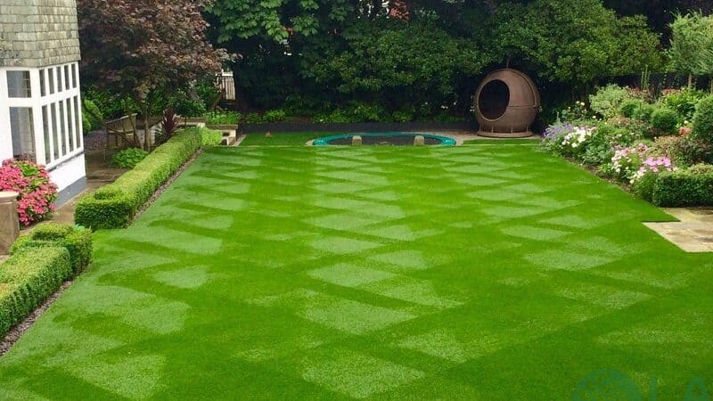 trang trí sân vườn bằng cỏ nhân tạo