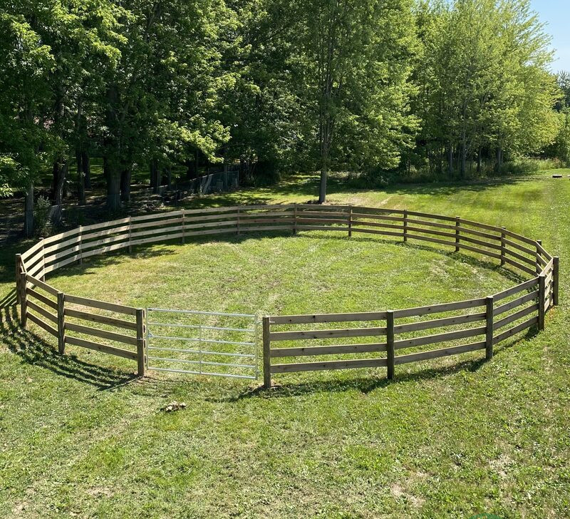 thiết kế hàng rào sân vườn