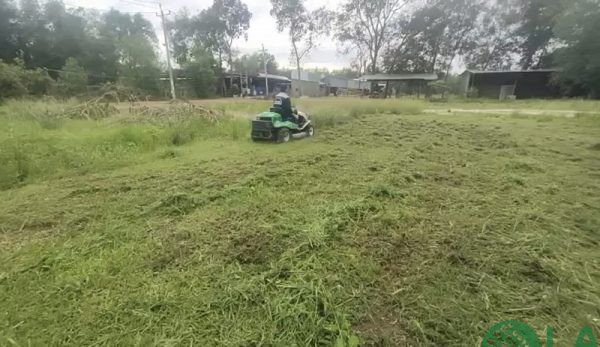 Dịch vụ cắt cỏ