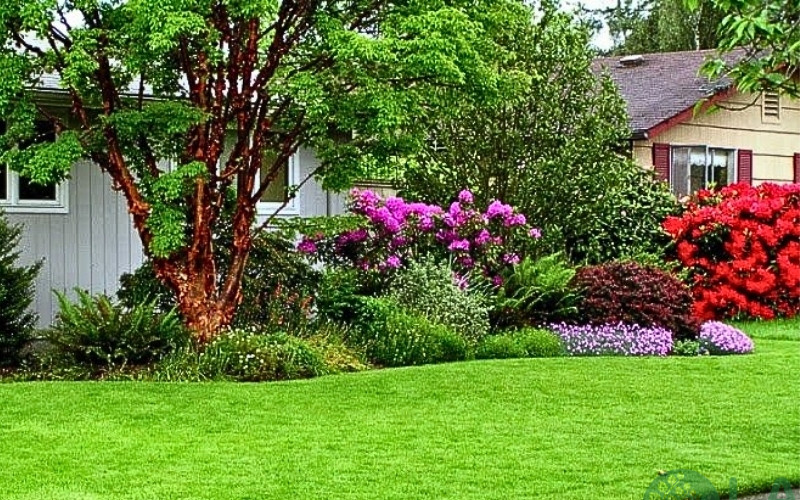 Trang trí sân vườn bằng cỏ nhân tạo