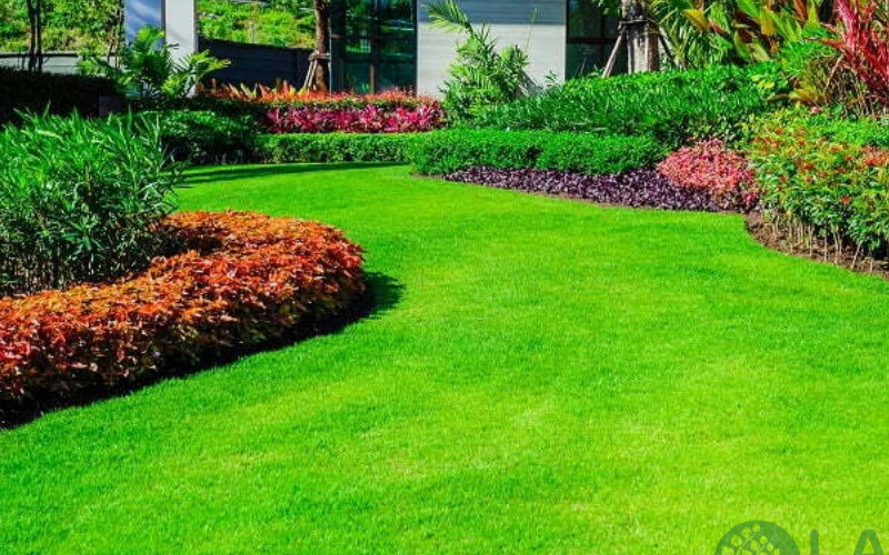Trang trí sân vườn bằng cỏ nhân tạo 