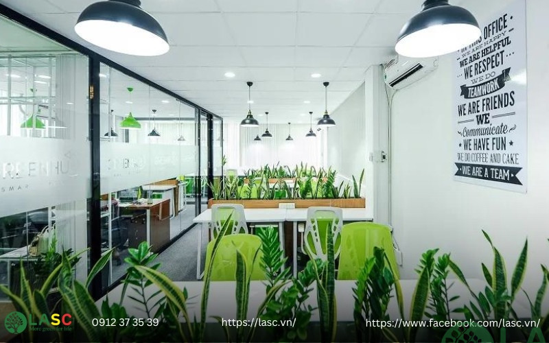 công ty cho thuê cây xanh văn phòng tphcm 