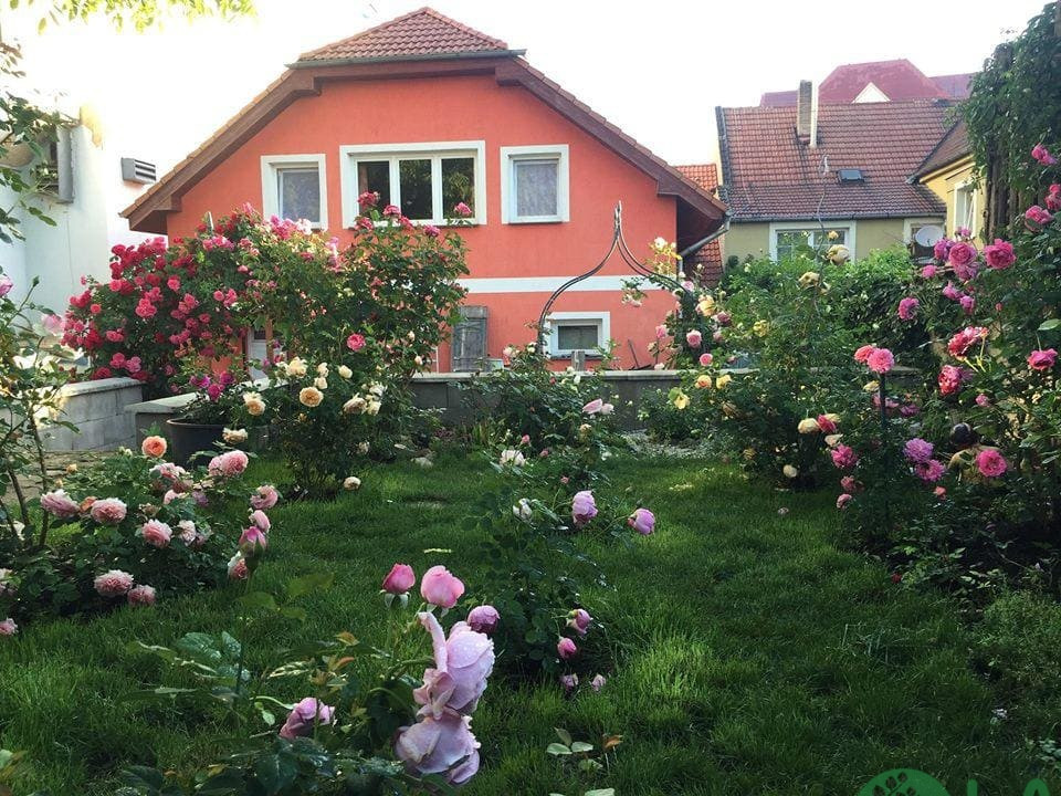 thiết kế vườn hoa trước nhà 